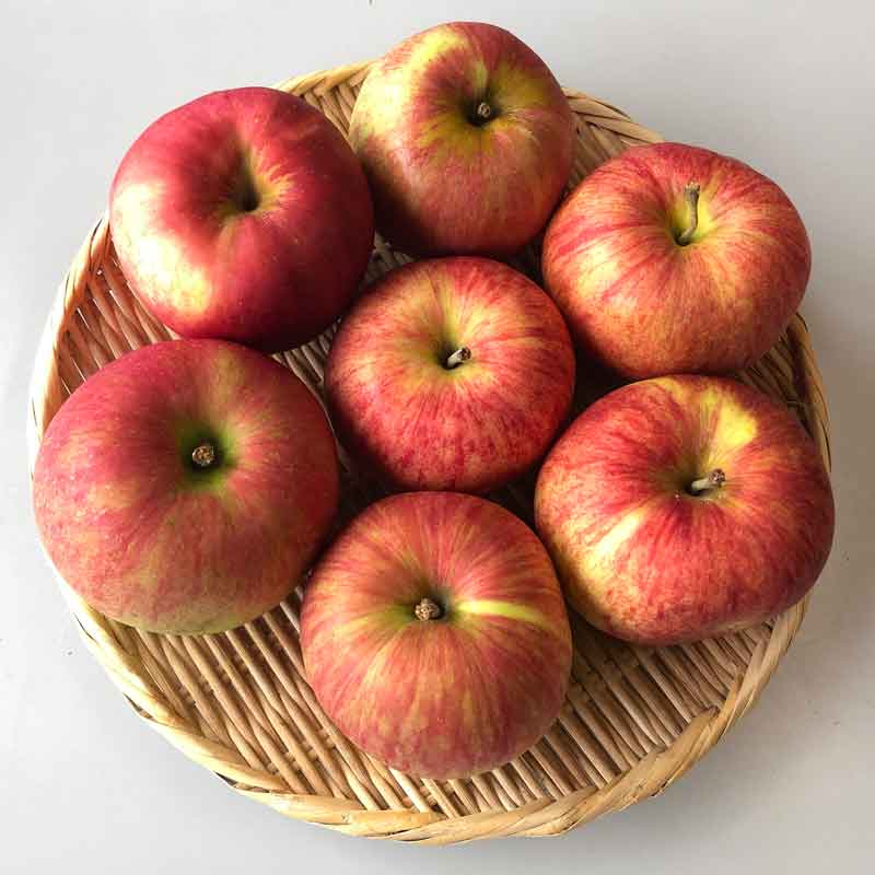 ジュース用りんご2kg(青森県産)(特別栽培)_s26