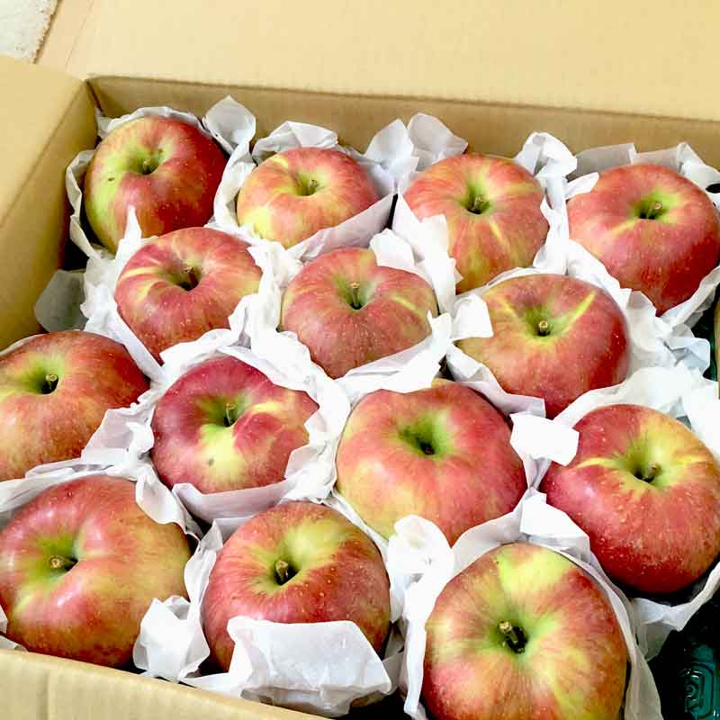米沢郷のりんご シナノスイート5kg(山形県産)_s70