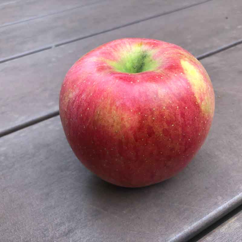 米沢郷のりんご シナノスイート5kg(山形県産)_s70