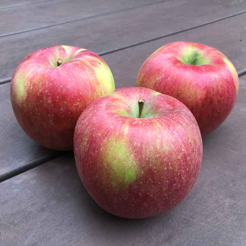 米沢郷のりんご シナノスイート5kg(山形県産)_s70