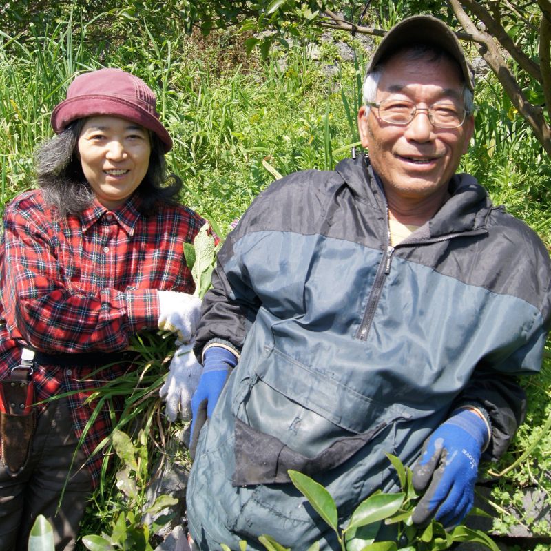 無茶々園の青梅5kg_s50