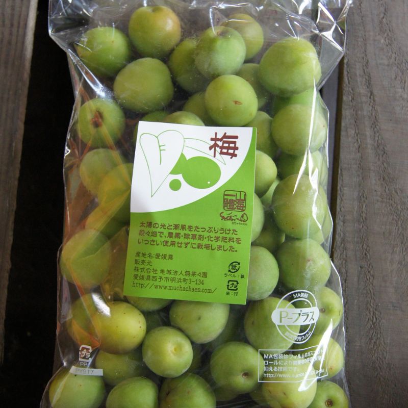 無茶々園の梅干し用梅5kg_s50