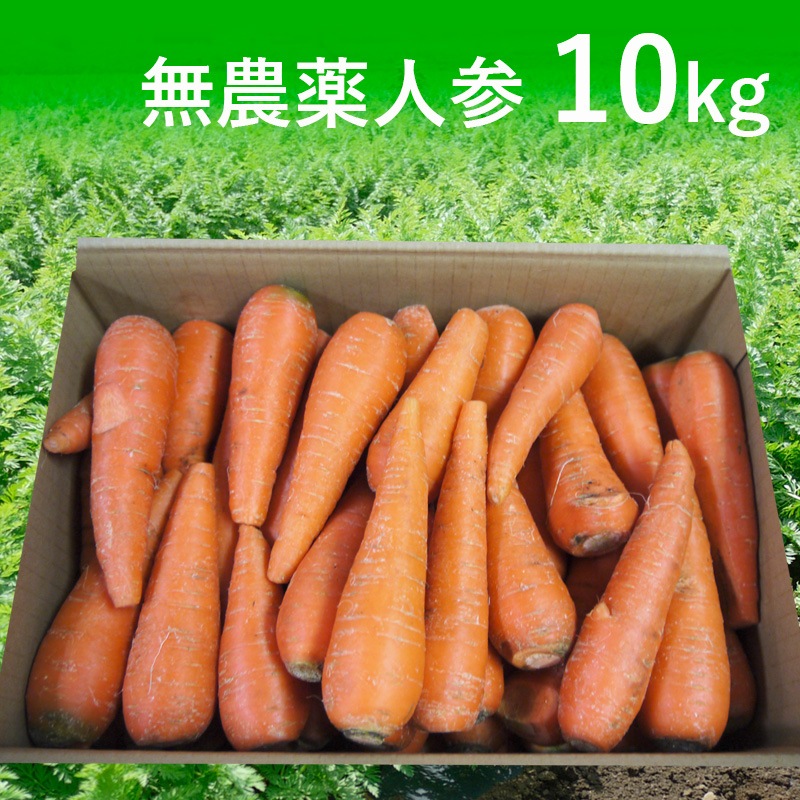無農薬人参ジュース用10kg(わけあり)【有機栽培同等】_s26