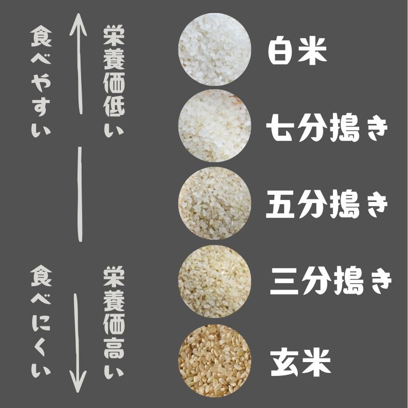 コシヒカリ5kg（無農薬）（新潟県中越加茂産産）＜令和７年度米＞_s25