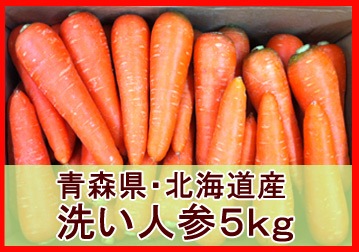 無農薬人参ジュース用5kg(わけあり)【有機栽培同等】_s26