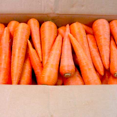 [定期購入]無農薬人参ジュース用3kg【有機栽培同等品】_s26