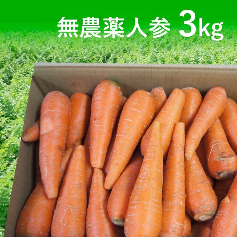 [定期購入]無農薬人参ジュース用3kg【有機栽培同等品】_s26