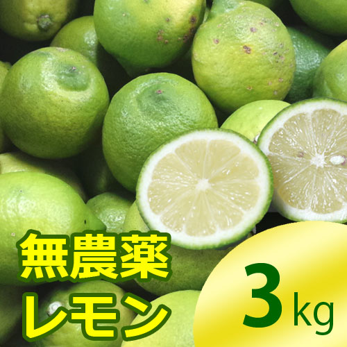 国産レモン3kg前後(無農薬・有機栽培同等品)_s26