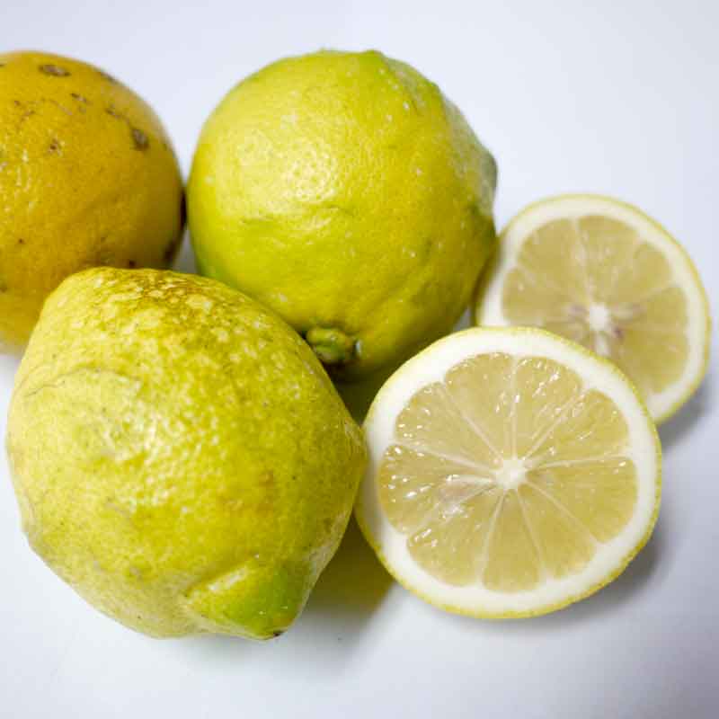 国産レモン5kg前後(無農薬・有機栽培同等品)_s26