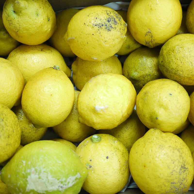 国産レモン5kg前後(無農薬・有機栽培同等品)_s26