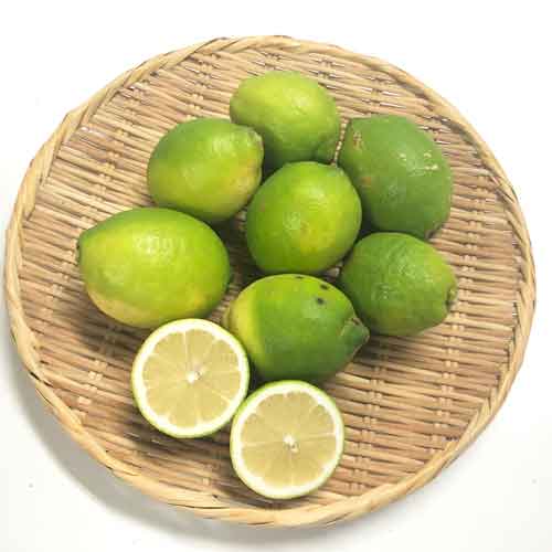 国産レモン5kg前後(無農薬・有機栽培同等品)_s26