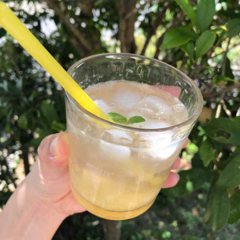 国産レモン10kg前後(無農薬・有機栽培同等品)_s26