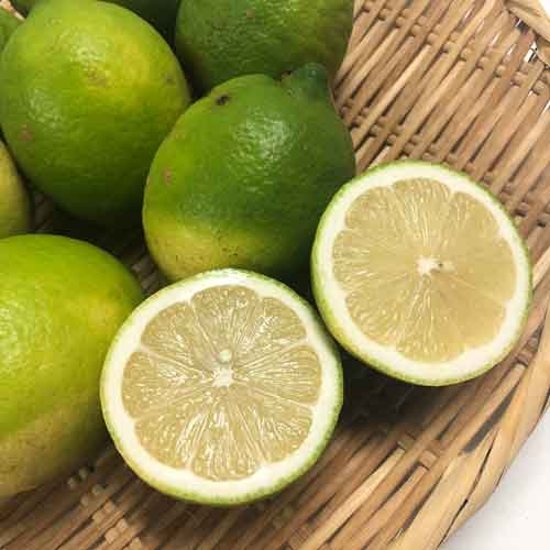 国産レモン10kg前後(無農薬・有機栽培同等品)_s26