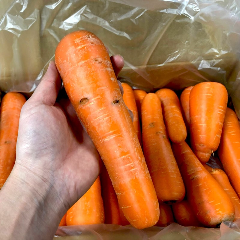 無農薬人参ジュース用3kg(わけあり)(有機栽培同等)_s26