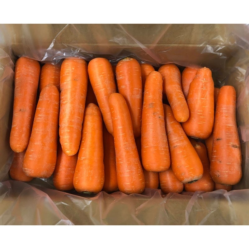 無農薬人参ジュース用5kg(わけあり)(有機栽培同等)_s26