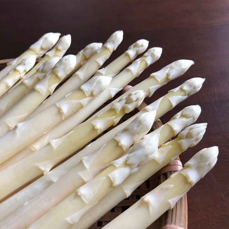 北海道滝本農場の有機栽培ホワイトアスパラ1kg_s25