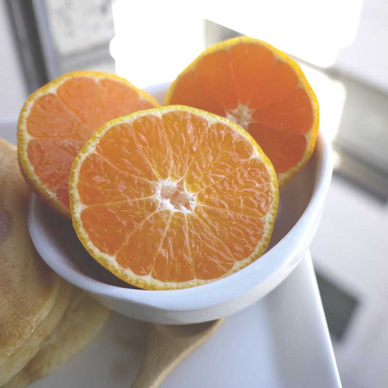 有機栽培】佐藤さん家の温州みかん5kg(サイズS～L)佐賀県産(送料