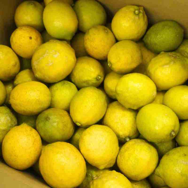 無茶々園のレモン3kg(特別栽培)(愛媛県産)_s50