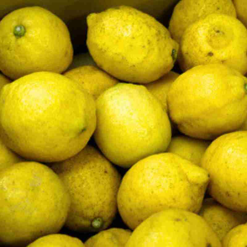 無茶々園のレモン3kg(特別栽培)(愛媛県産)_s50