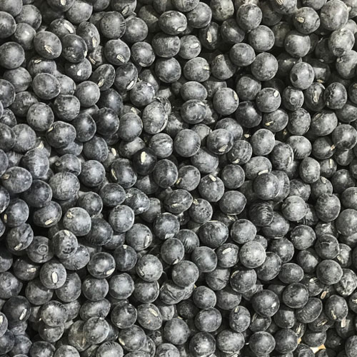 H28年度産大粒☆本場丹波篠山産黒豆超お得10㎏☆無農薬有機栽培 【公式 