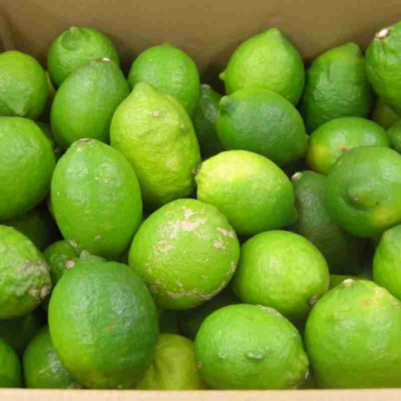 無茶々園のレモン7kg(特別栽培)(愛媛県産)_s50