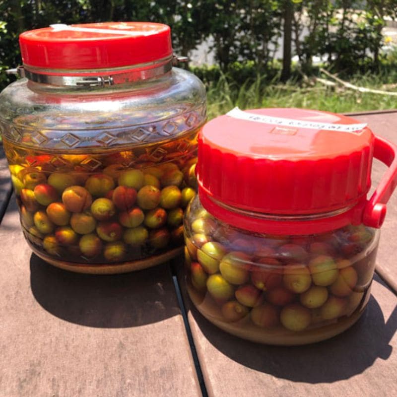 王隠堂農園の小梅1kg_s40