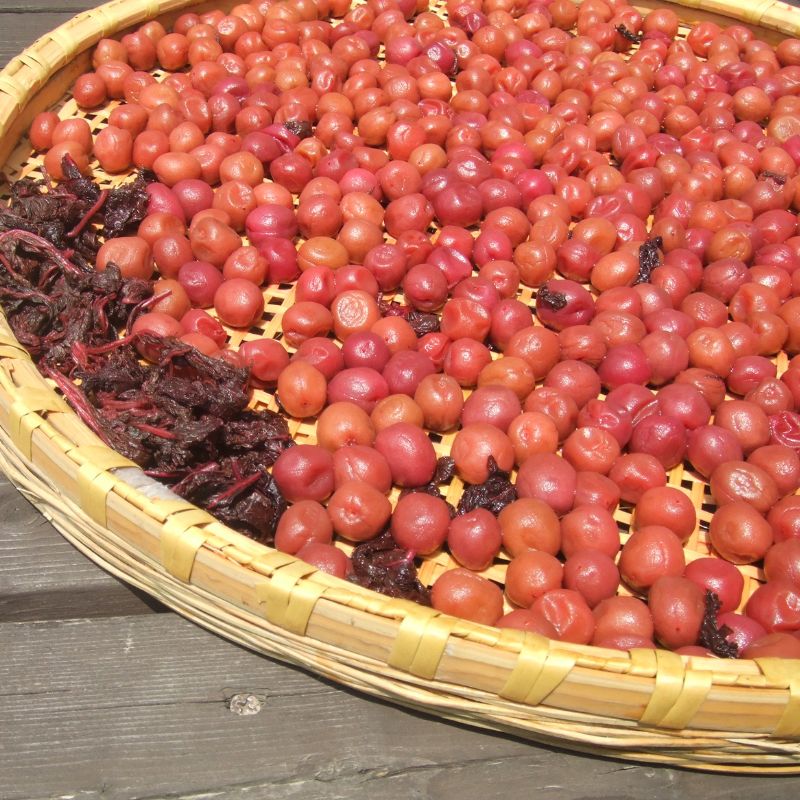 王隠堂農園の小梅1kg_s40