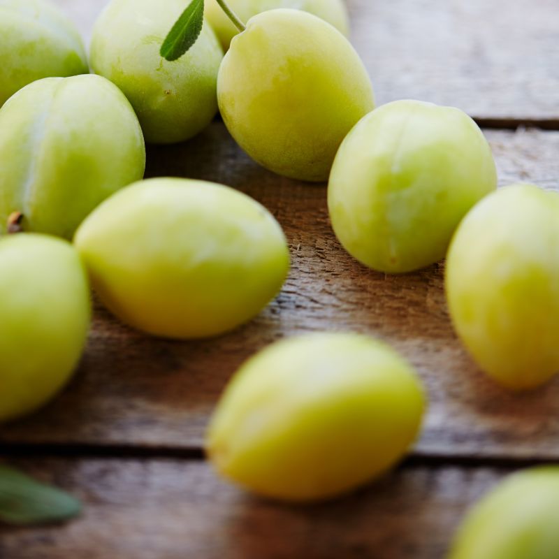 王隠堂農園の南高梅１kg(梅干用)_s40