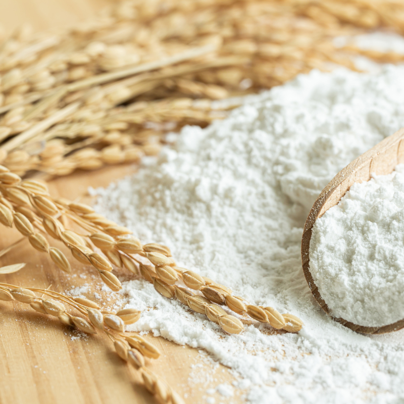 〔赤とんぼ〕特別栽培コシヒカリ10kg(白米)_s20