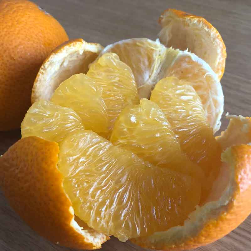 佐藤さん家の有機はっさく5kg(佐賀県産・サイズM～3L)_s22
