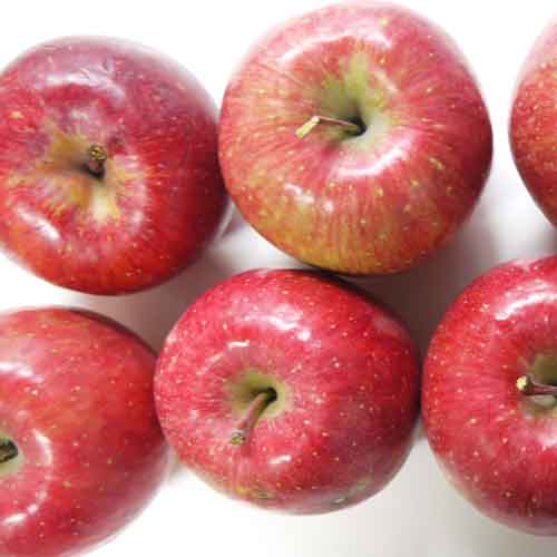 無農薬りんご２kg(青森県産)(家庭用)(有機栽培同等)_s26