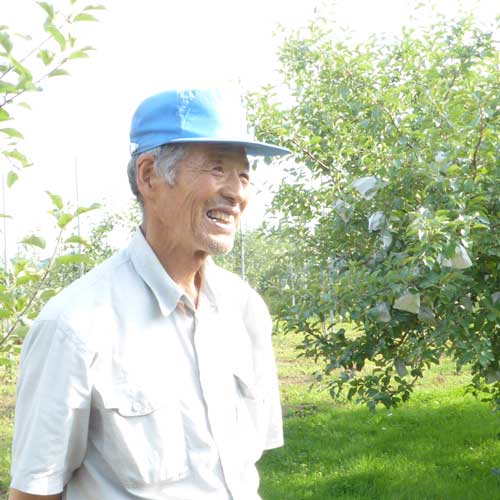 無農薬りんご２kg(青森県産)(家庭用)(有機栽培同等)_s26