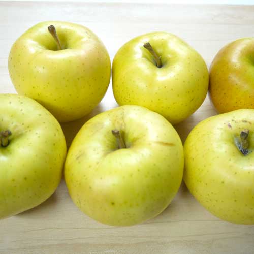 無農薬りんご２kg(青森県産)(家庭用)(有機栽培同等)_s26