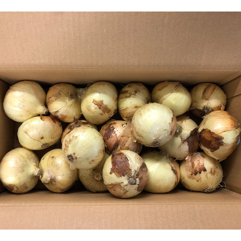 塩たまちゃん5kg(熊本県産)_s26