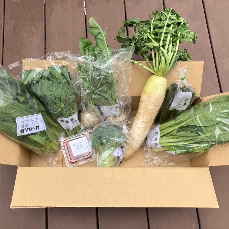 埼玉・沃土会の季節の野菜8品(埼玉県・深谷市)_s60