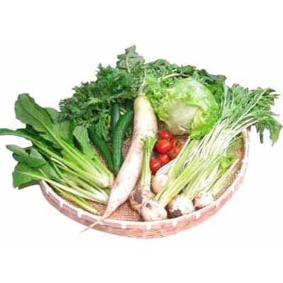 埼玉・沃土会の季節の野菜8品(埼玉県・深谷市)_s60