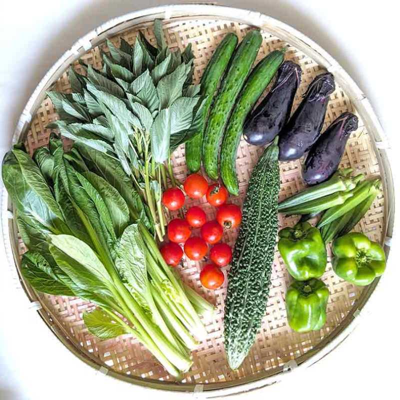 埼玉・沃土会の季節の野菜8品(埼玉県・深谷市)_s60