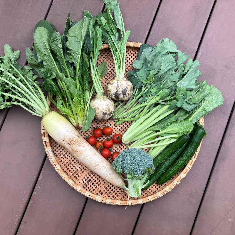 埼玉・沃土会の季節の野菜8品(埼玉県・深谷市)_s60