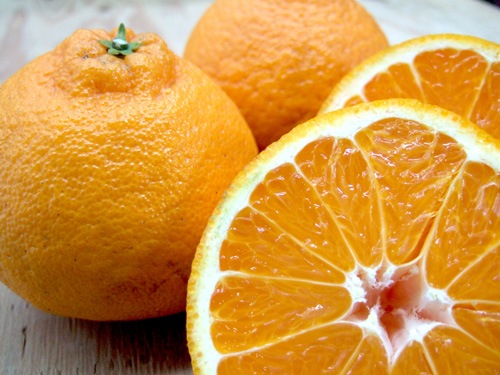 佐藤さん家の有機不知火3kg(サイズM～2L)(佐賀県産)＜数量限定＞_s22