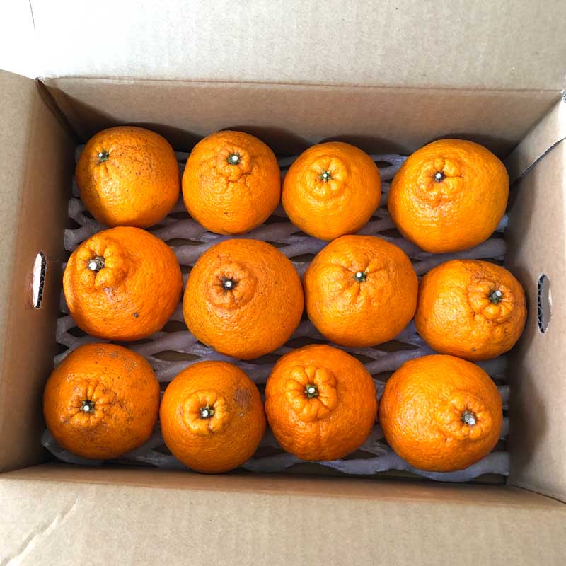 佐藤さん家の有機不知火3kg(サイズM～2L)(佐賀県産)＜数量限定＞_s22