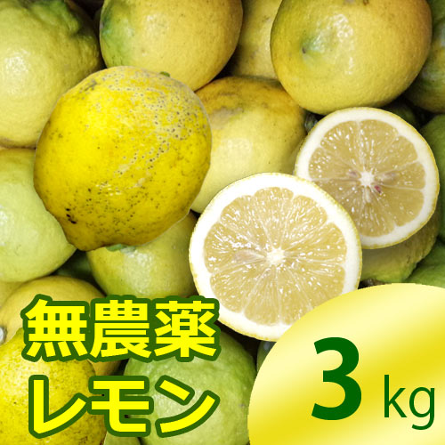 国産無農薬レモンのお得な定期購入です 3