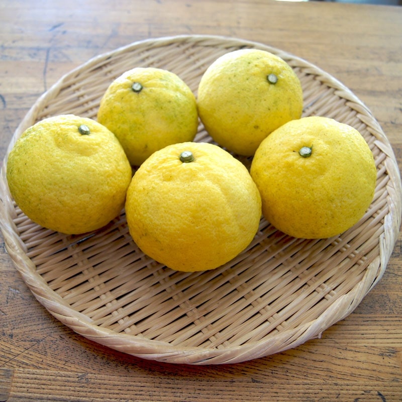 愛媛県 無茶々園のはるか7kg_s50