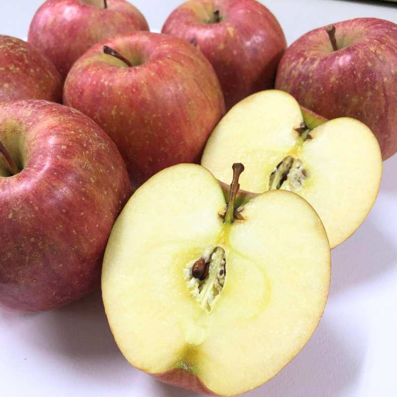 [定期購入]ジュース用りんご10kg(青森県産)_s26