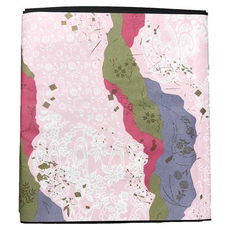 奈良県産あんぽ柿10個入り_s40