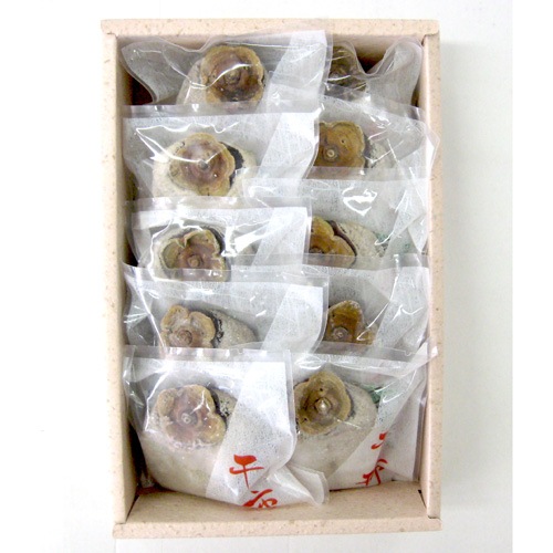 王隠堂農園の干し柿10玉_s40