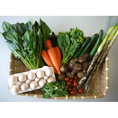 [定期購入]あさひの野菜と卵のセット（小）_s90