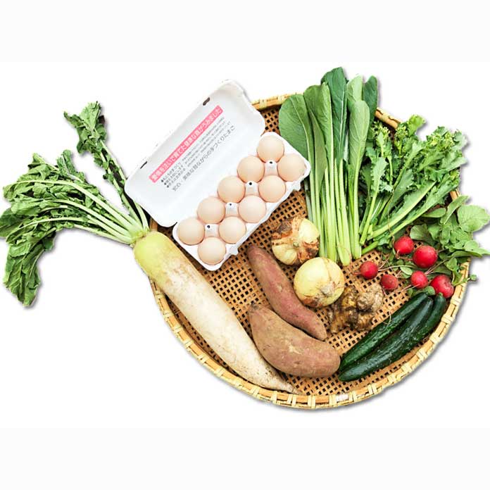 [定期購入]あさひの野菜と卵のセット（小）_s90