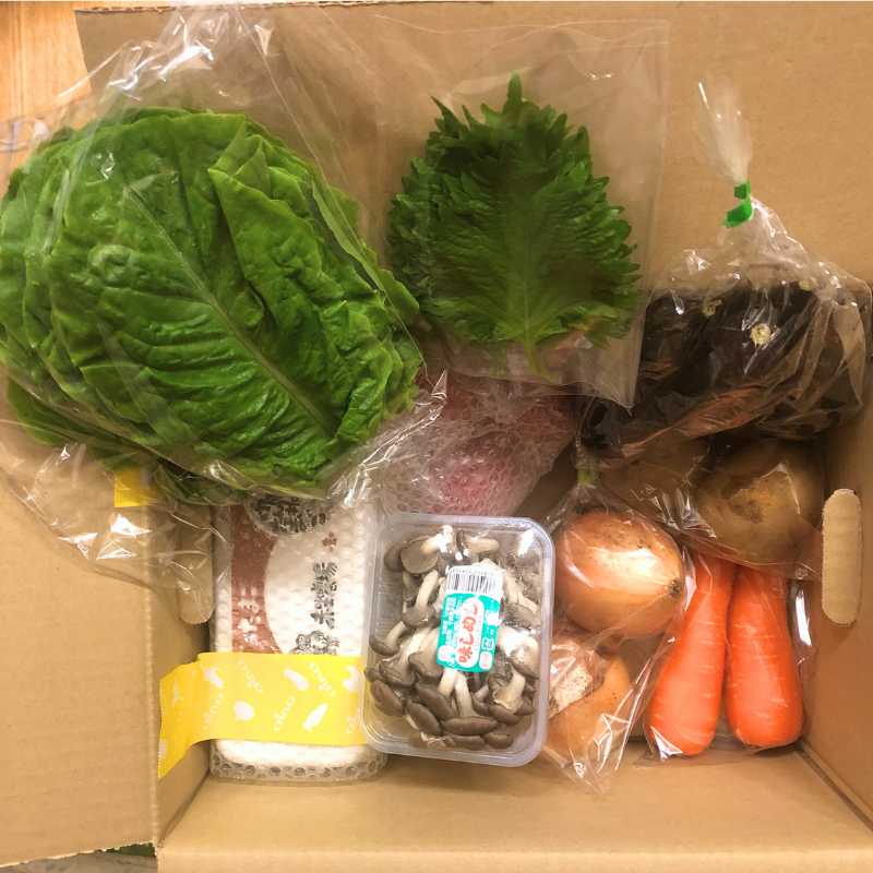 [定期購入]あさひの野菜と卵のセット（小）_s90