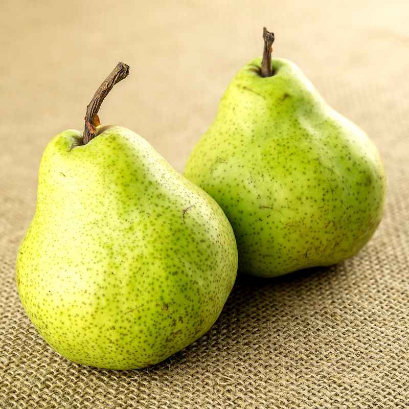 米沢郷の洋梨 ラ・フランス 3kg(山形県産)_s70