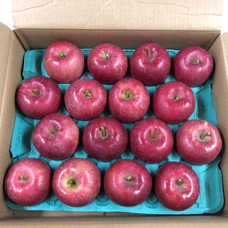 福士さんのりんご特選弘前ふじ5kg(青森県産)_s25